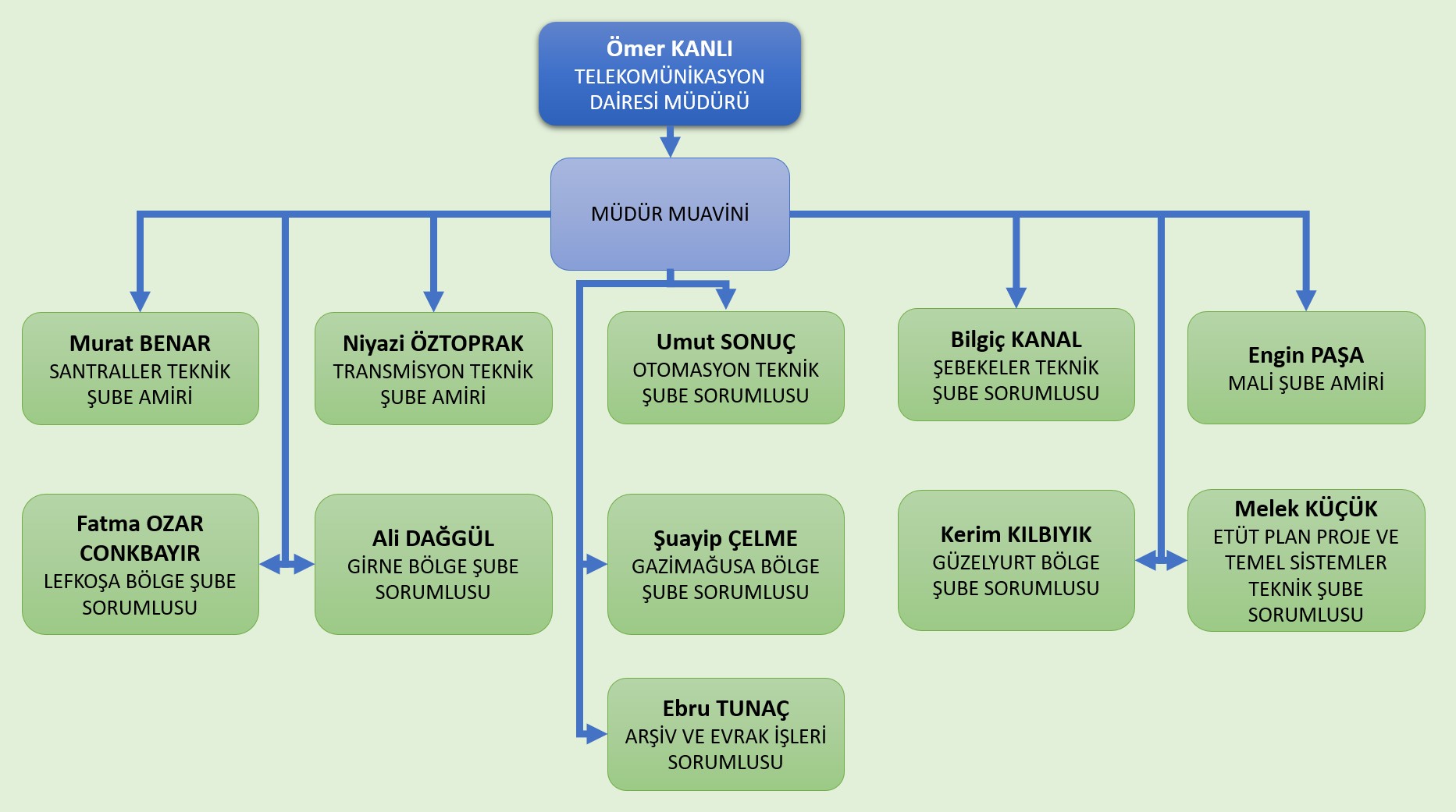 Teşkilat Şeması